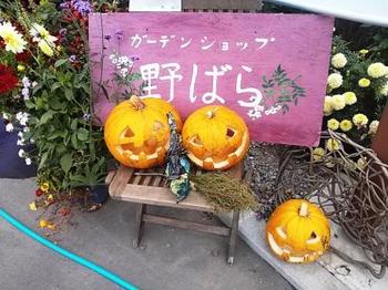 ハロウィンかぼちゃ.jpg